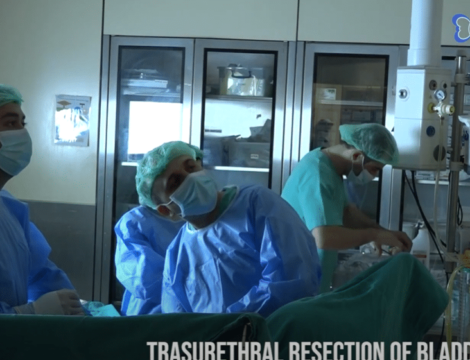 Screenshot 2024-12-23 172253